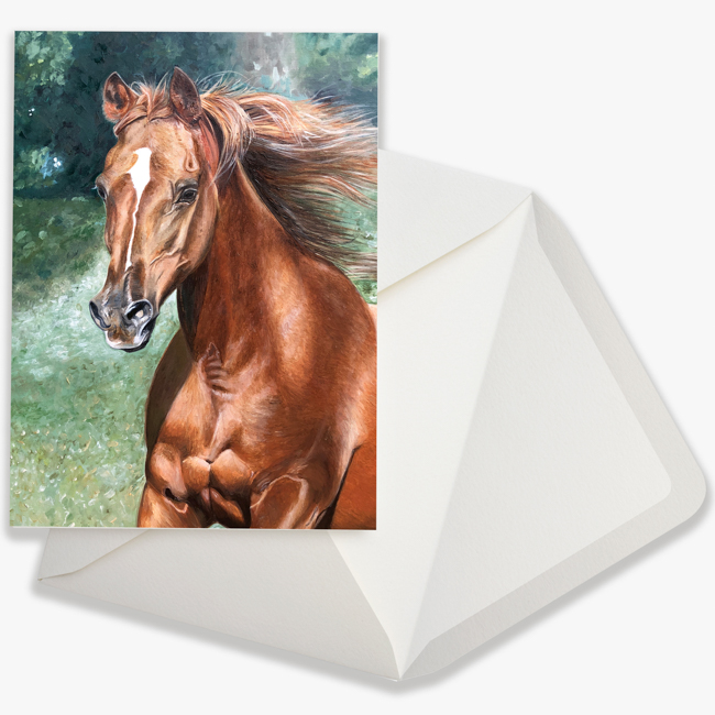 Equestrian Greeting Cards from Caroline Towning - STABLE STYLE