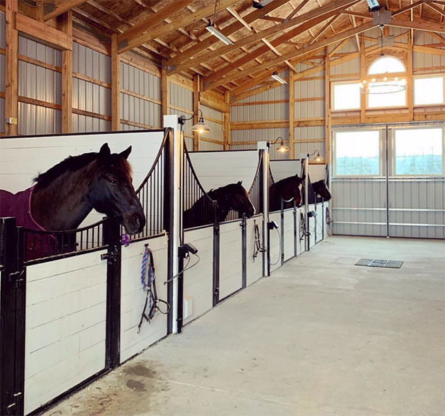 horse barn design, riding arena design b builders pa, de