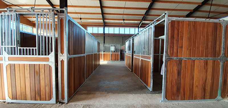 stable center