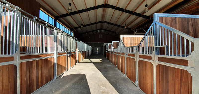 stable center