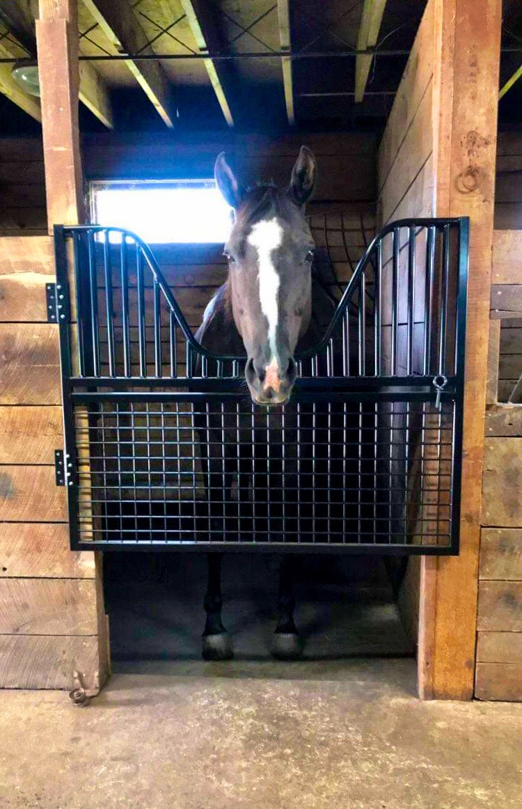 Free Shipping on Stall Gates from American Stalls STABLE STYLE