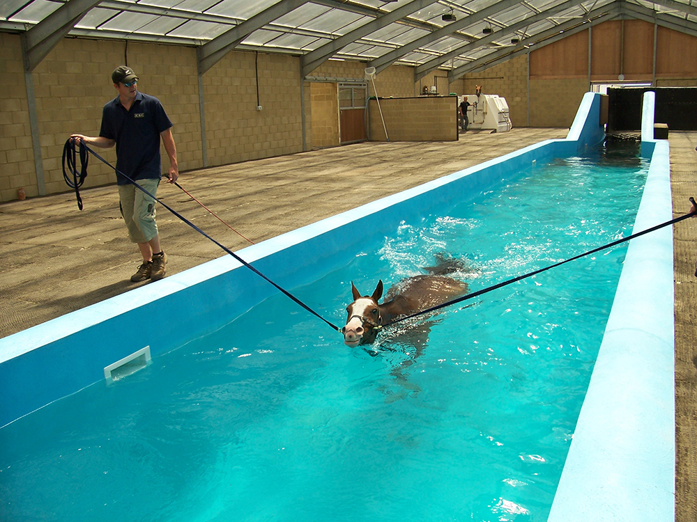 Horse Health: A Hydrotherapy Center in England - STABLE STYLE