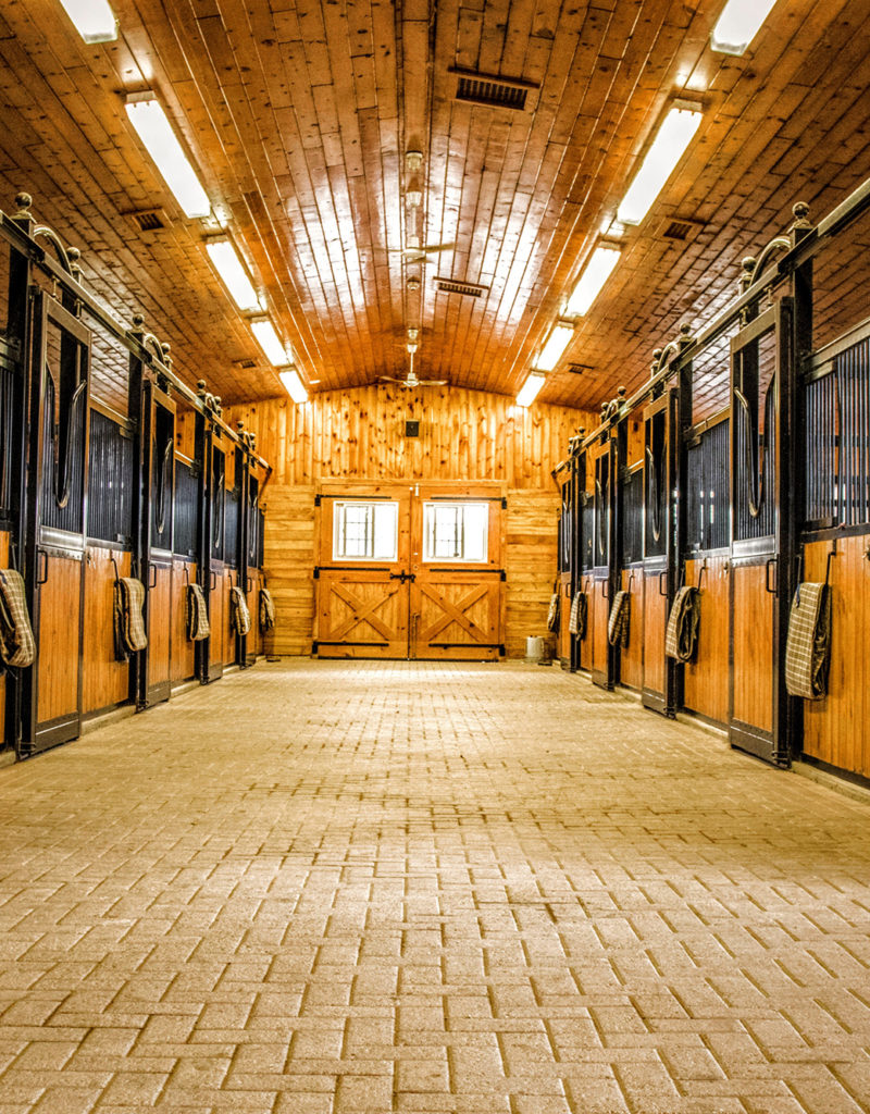horse stable tours near me